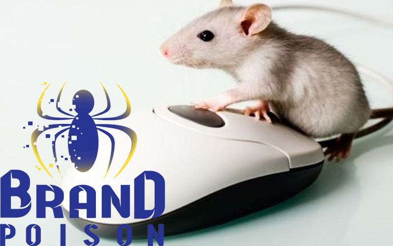 چگونه بدون استفاده از سم، موشها را از خانه دور کنیم 3 use of modern devices to repel mice