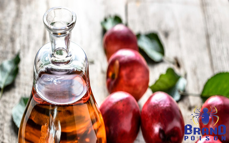 تاثیر سرکه در فراری دادن موش ها 2 why vinegar 1