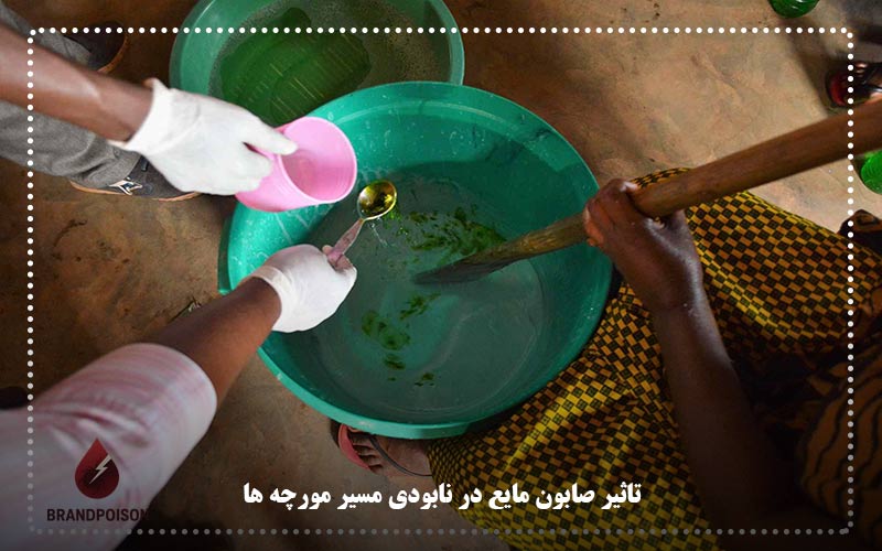 تاثیر صابون مایع در نابودی مسیر مورچه‌ ها