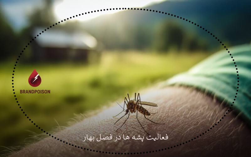 فعالیت پشه ها در فصل بهار