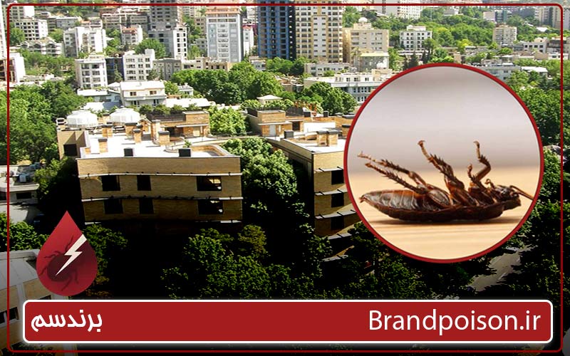 کنترل سوسک در آپارتمان