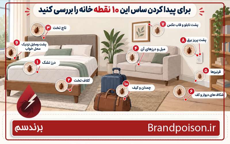 راه ورود ساس به خانه