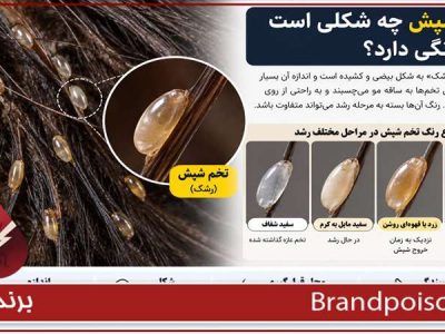 عکس رشک یا همان تخم شپش 1