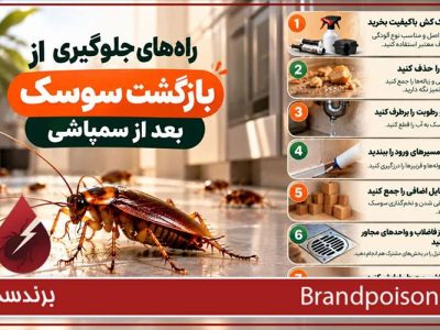 راه های جلوگیری از بازگشت سوسک بعد از سمپاشی