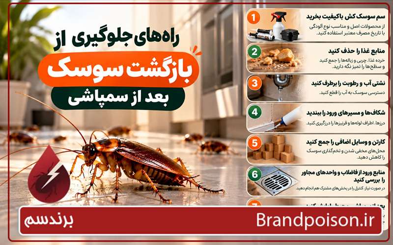 راه های جلوگیری از بازگشت سوسک بعد از سمپاشی